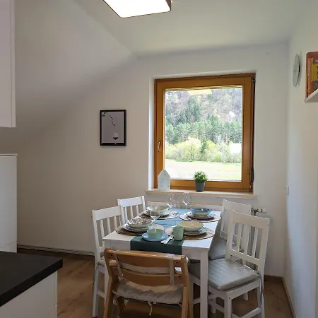 Appartement Angerpartments-sonnige Grosse Mit Balkon Und Kostenlosen Parkplatz *