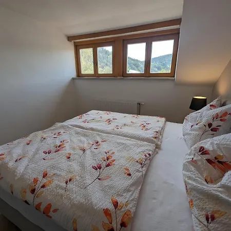 Angerpartments-sonnige Grosse Mit Balkon Und Kostenlosen Parkplatz Appartement