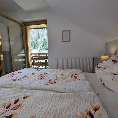 Angerpartments-sonnige Grosse Mit Balkon Und Kostenlosen Parkplatz Appartement Döbriach